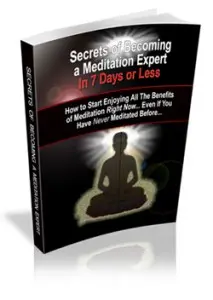 Meditate Like An Expert Book image