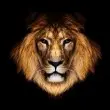 Creating Confidence Vocal Hypnosis MP3 picture