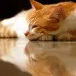 Deep Sleep image