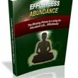 Effortless Abundance Book picture