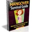 The Hangover Survival Guide Book picture